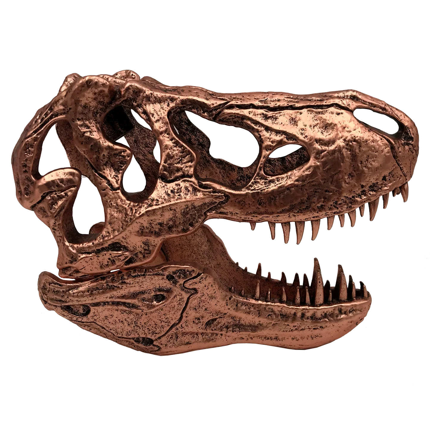 Jurassic Park | T-Rex Skull Scaled Prop Replica - Image 3