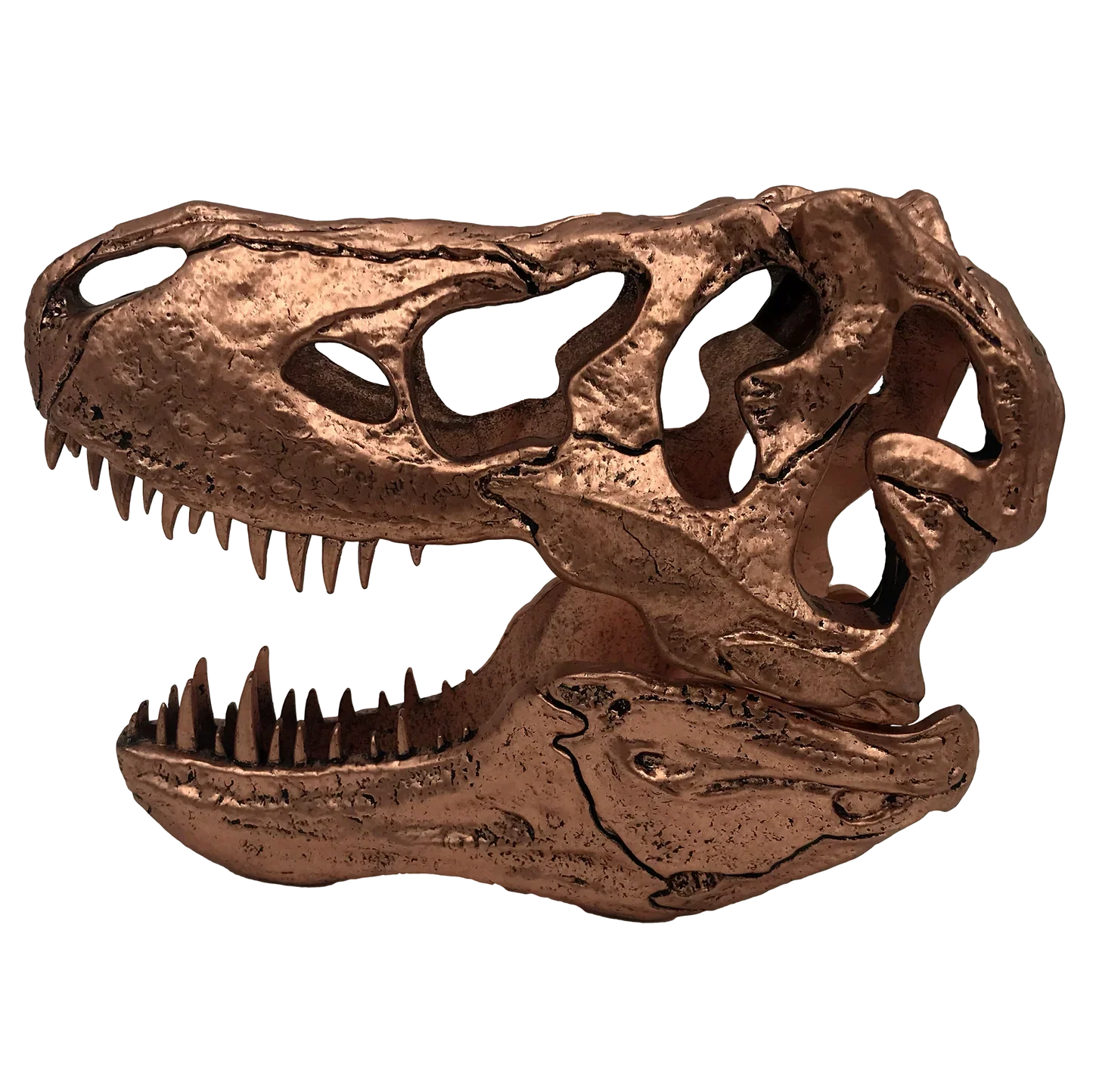 Jurassic Park | T-Rex Skull Scaled Prop Replica - Image 4