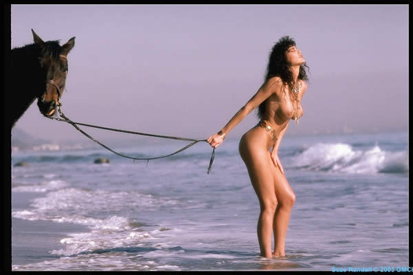 Julies Ultimate Penthouse Collection - Image 11